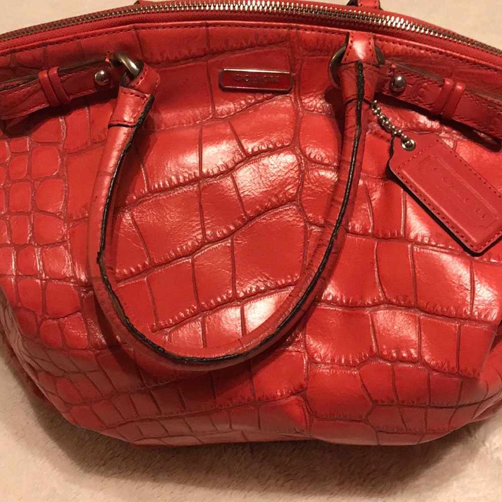 Snakeskin Coach Purse